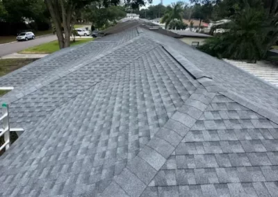 Roofing Contractor